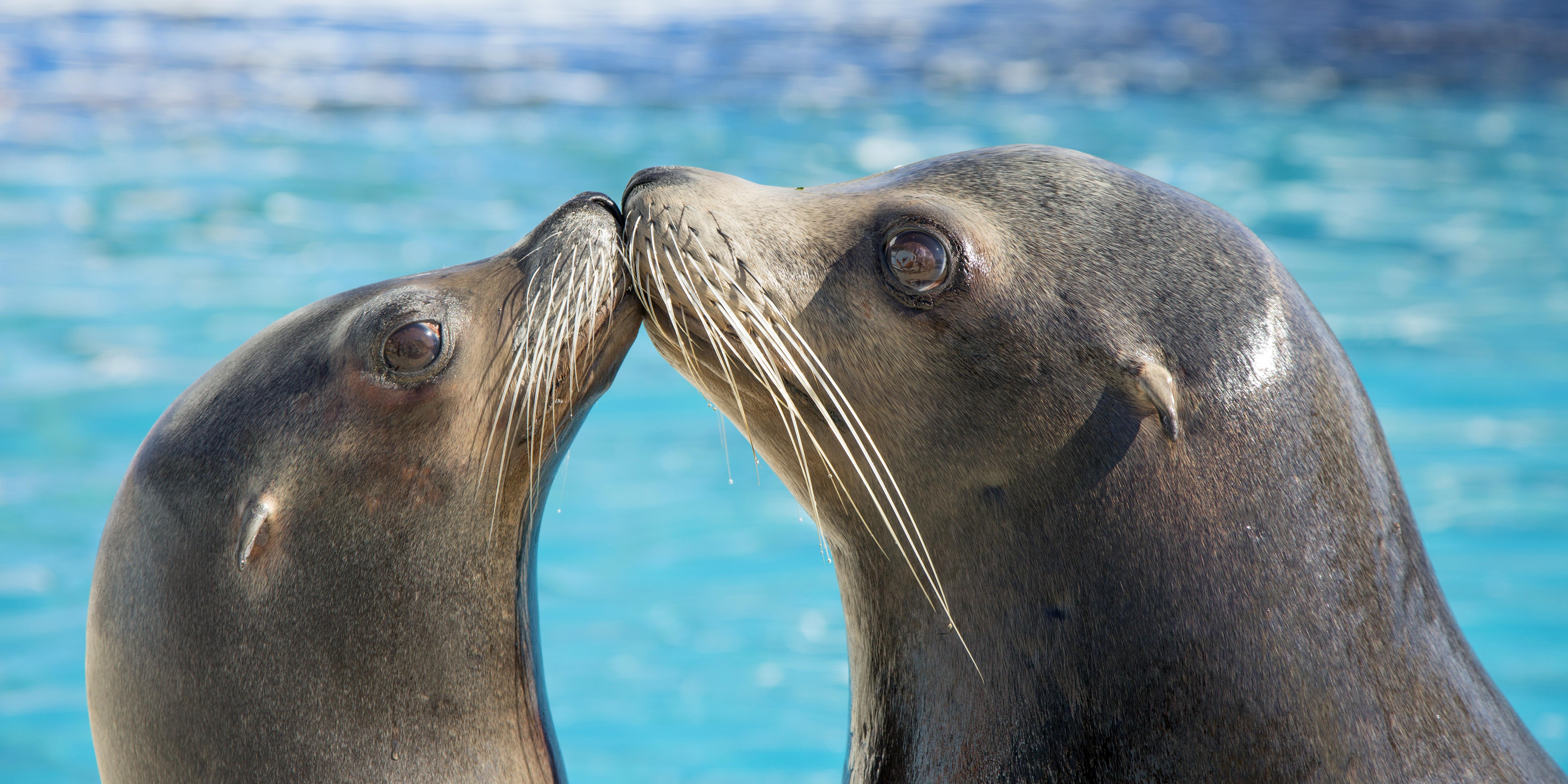Marineland Resort Antibes Kültér fotó