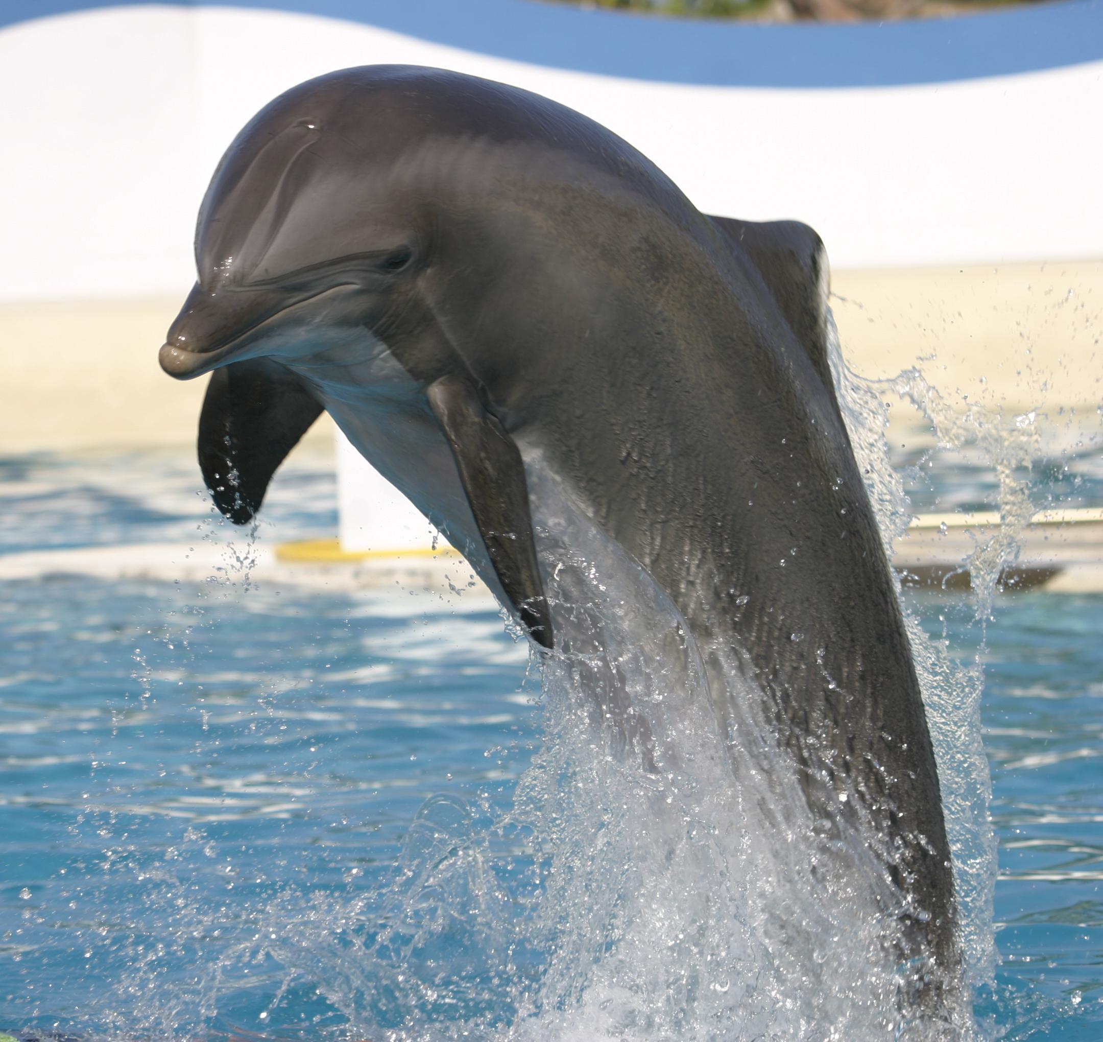 Marineland Resort Antibes Kültér fotó