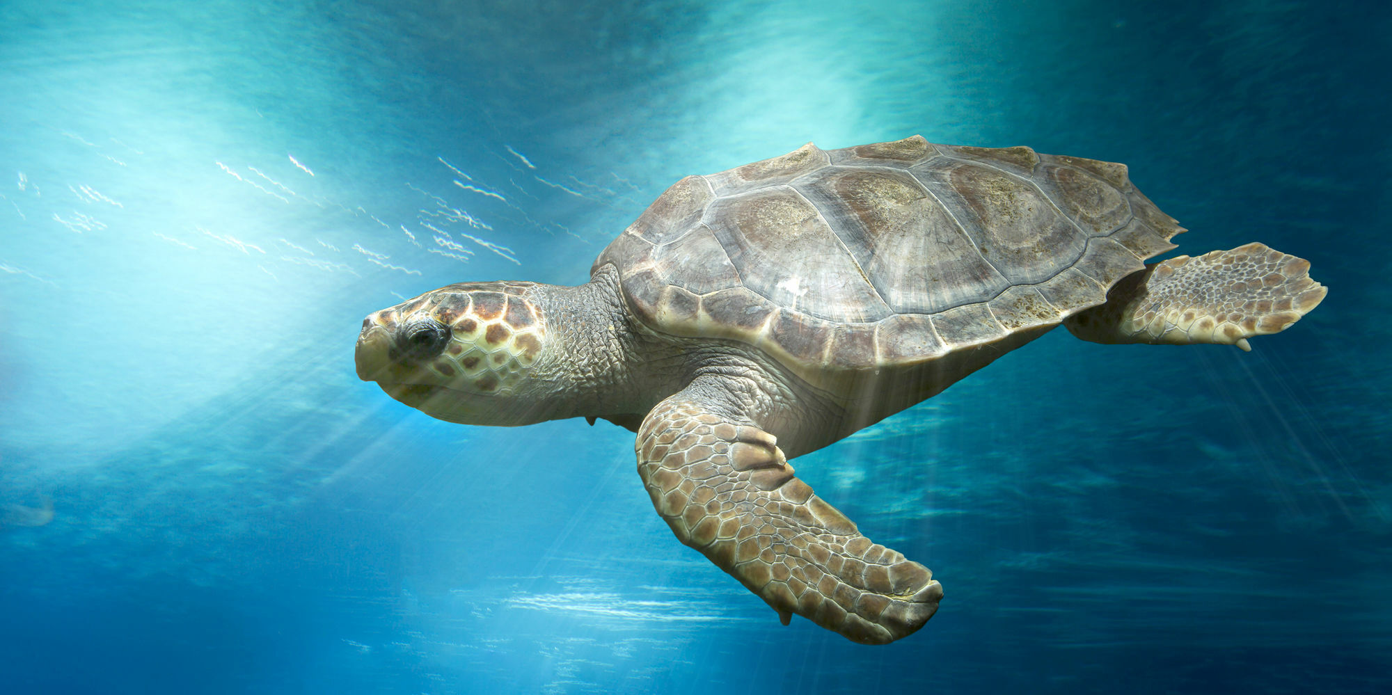 Marineland Resort Antibes Kültér fotó