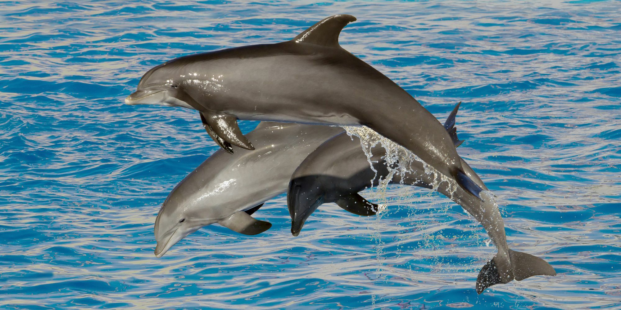 Marineland Resort Antibes Kültér fotó
